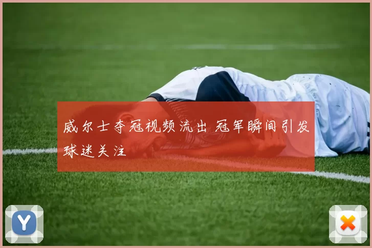 威尔士夺冠视频流出 冠军瞬间引发球迷关注