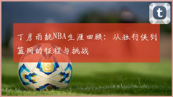 丁彦雨航NBA生涯回顾：从独行侠到篮网的征程与挑战