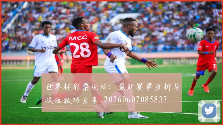 世界杯彩票论坛:最新赛事分析与投注技巧分享_20260607085837