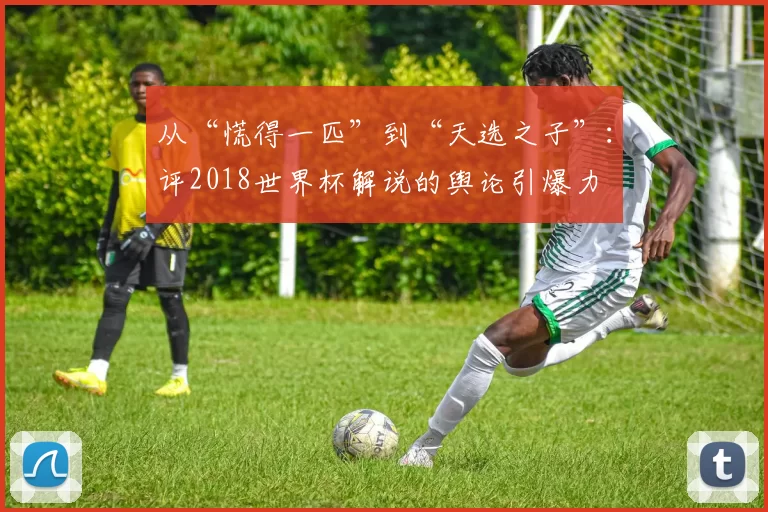 从“慌得一匹”到“天选之子”：评2018世界杯解说的舆论引爆力