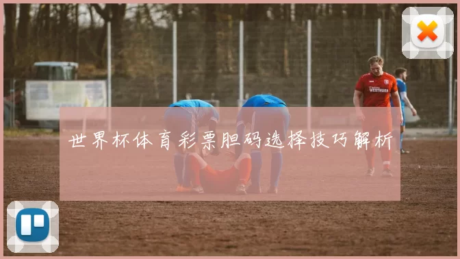 世界杯体育彩票胆码选择技巧解析