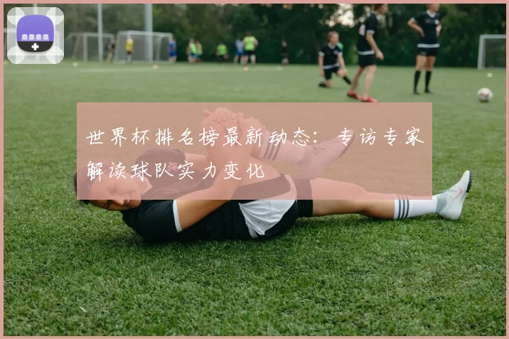 世界杯排名榜最新动态：专访专家解读球队实力变化