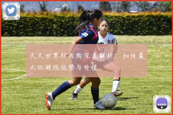 天天世界杯内购深度解析：如何最大化游戏优势与价值