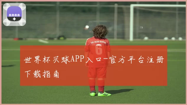 世界杯买球APP入口-官方平台注册下载指南