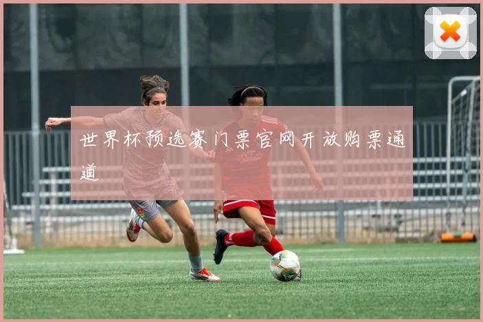 世界杯预选赛门票官网开放购票通道