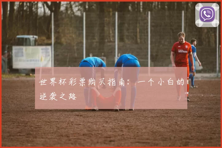 世界杯彩票购买指南：一个小白的逆袭之路