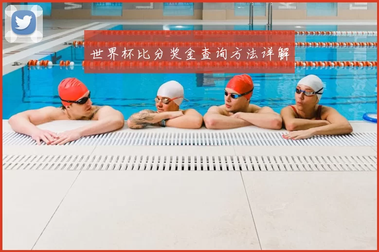 世界杯比分奖金查询方法详解